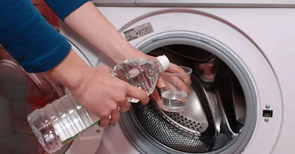Person pouring white vinegar into a front-loading washing machine for natural cleaning.